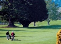 Golf & golfing Waihi Beach