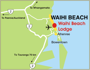 map of waihi