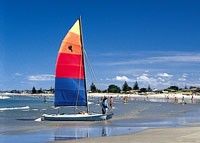 Beach at Waihi